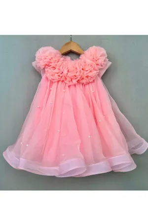 Peach Pearl Handmade flowers Embellished Dress