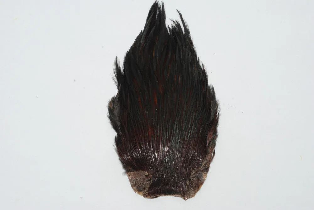 Premium Indian Hackle Cape