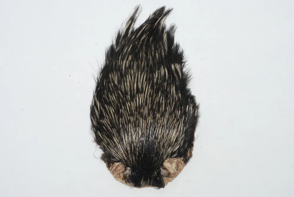 Premium Indian Hackle Cape