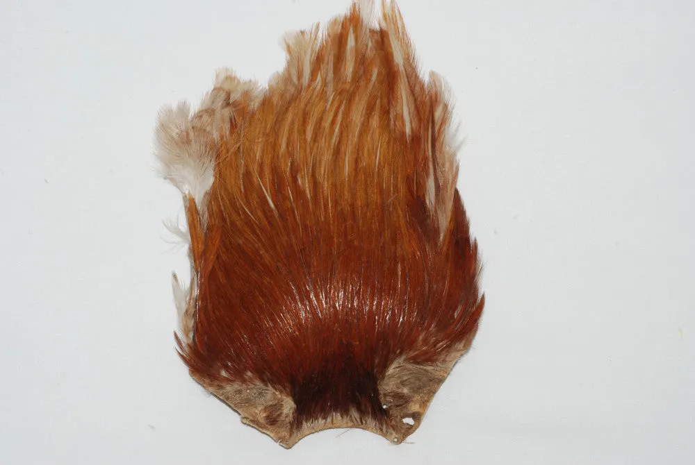 Premium Indian Hackle Cape