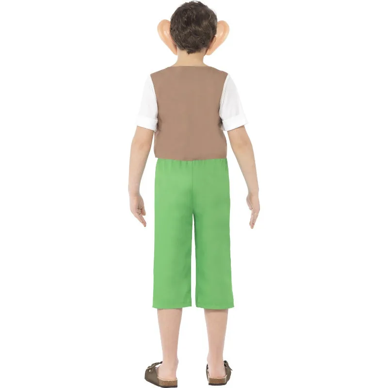 Roald Dahl BFG Costume