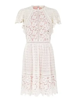 Short Sleeved Lace Mix Dress